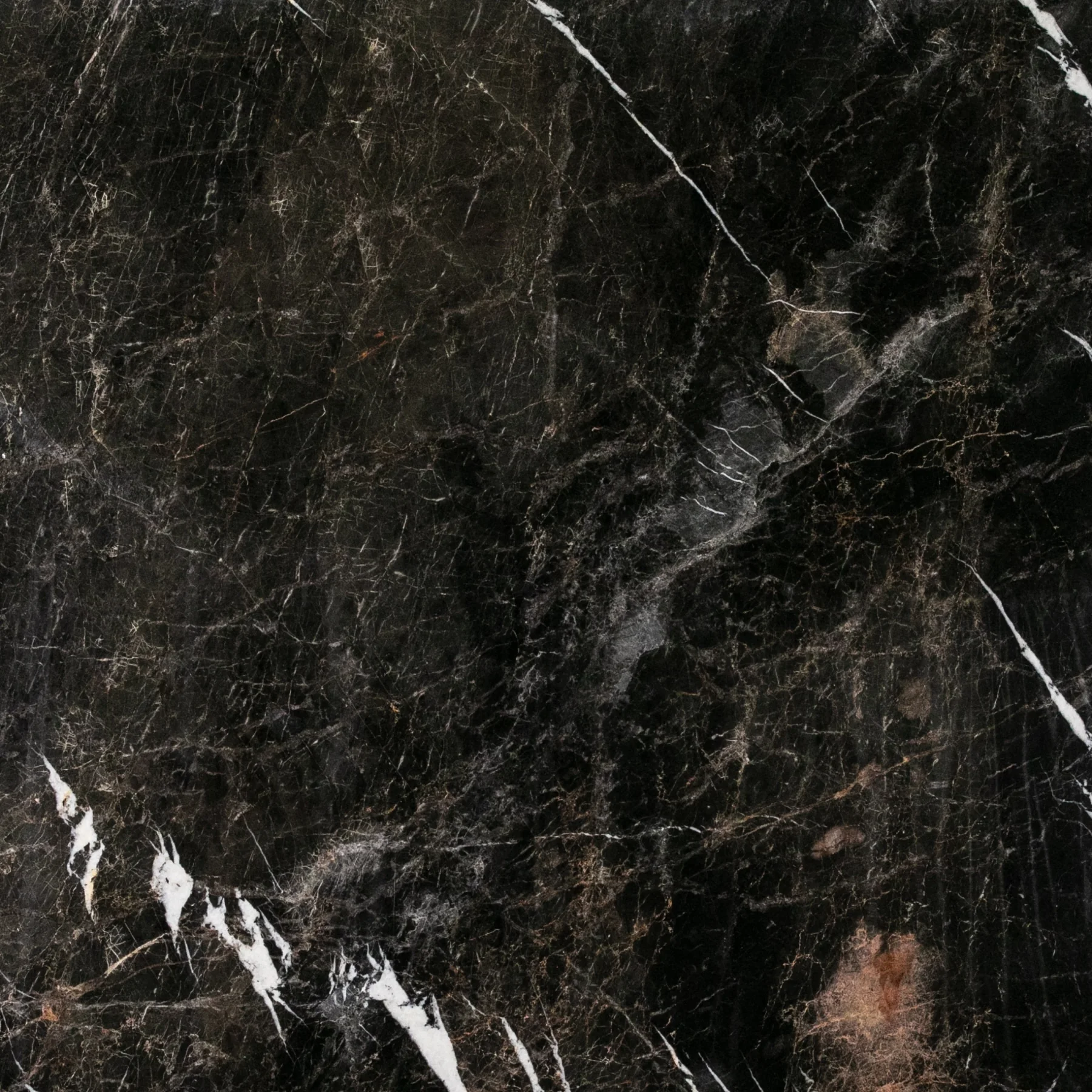 Black Levidia