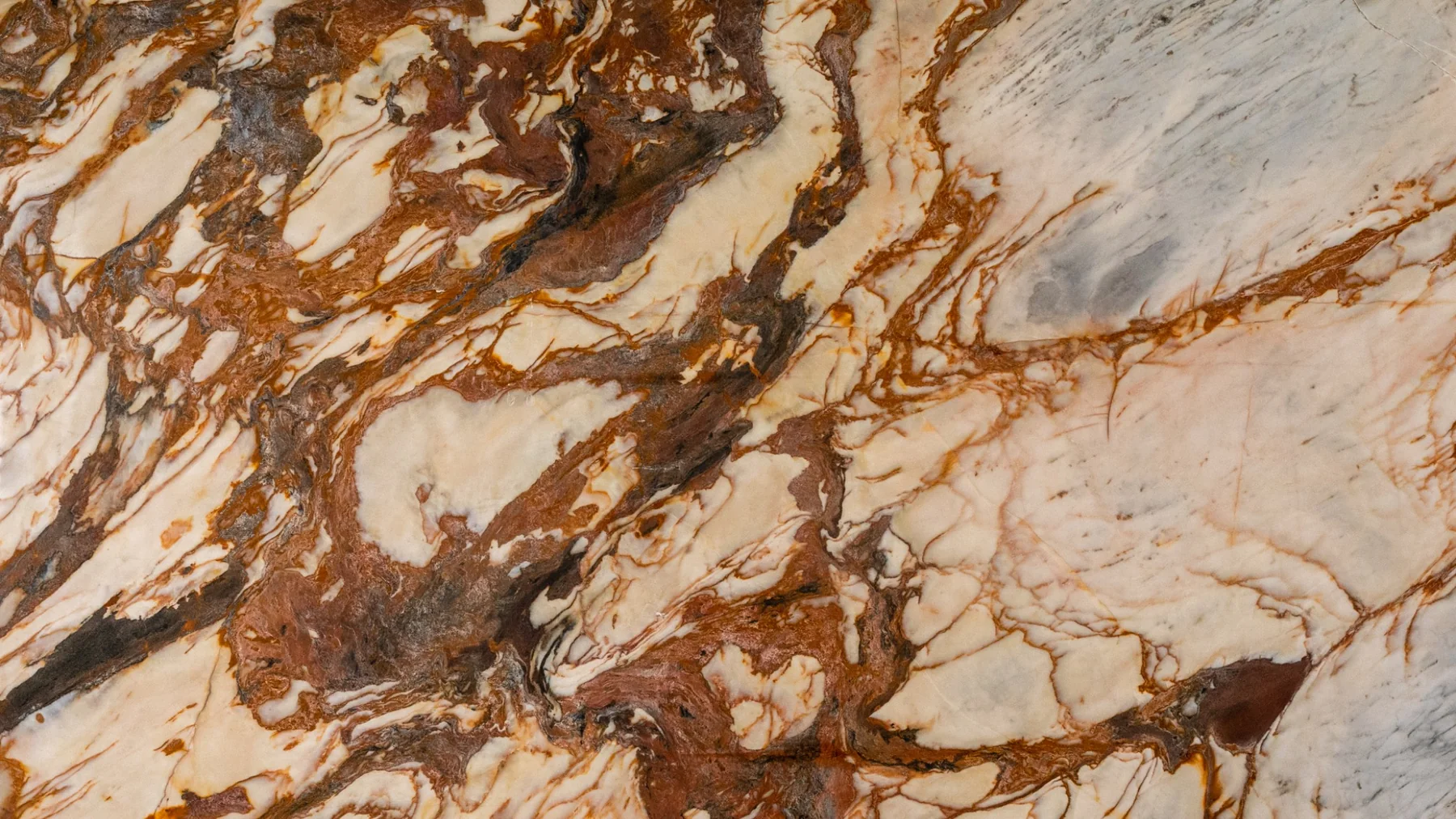Terra Marron