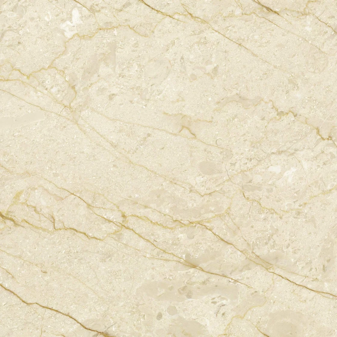 Crema Golden (Cilali) | marble tile Crema Golden (Cilali) marble tile — a soft ivory and cream background, fine golden-brown lines crossing the surface