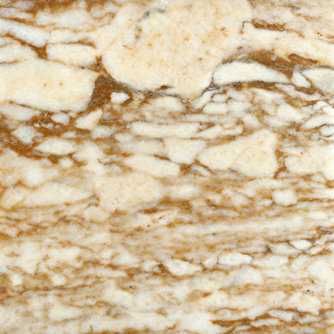 Demmer Afyon Honey | marble tile Demmer Afyon Honey marble tile — honey beige and amber tones, branching amber lines and pale mineral areas