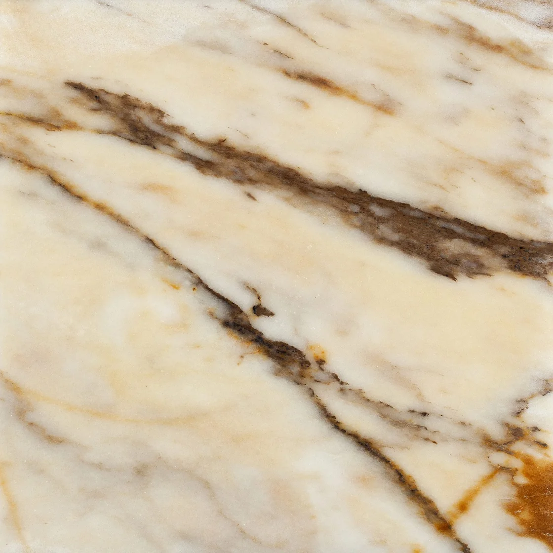 Golden | marble tile Golden marble tile — a soft ivory and cream background, an intricate network of dark branching veins