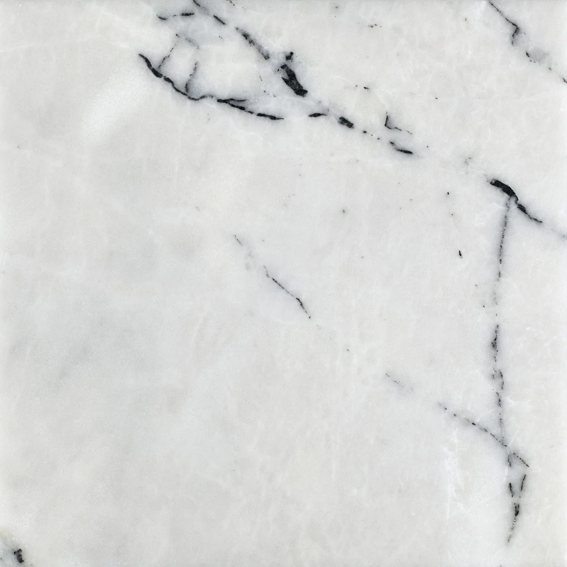 Muğla Newyork | marble tile Muğla Newyork marble tile — a clear white background, an intricate network of dark branching veins