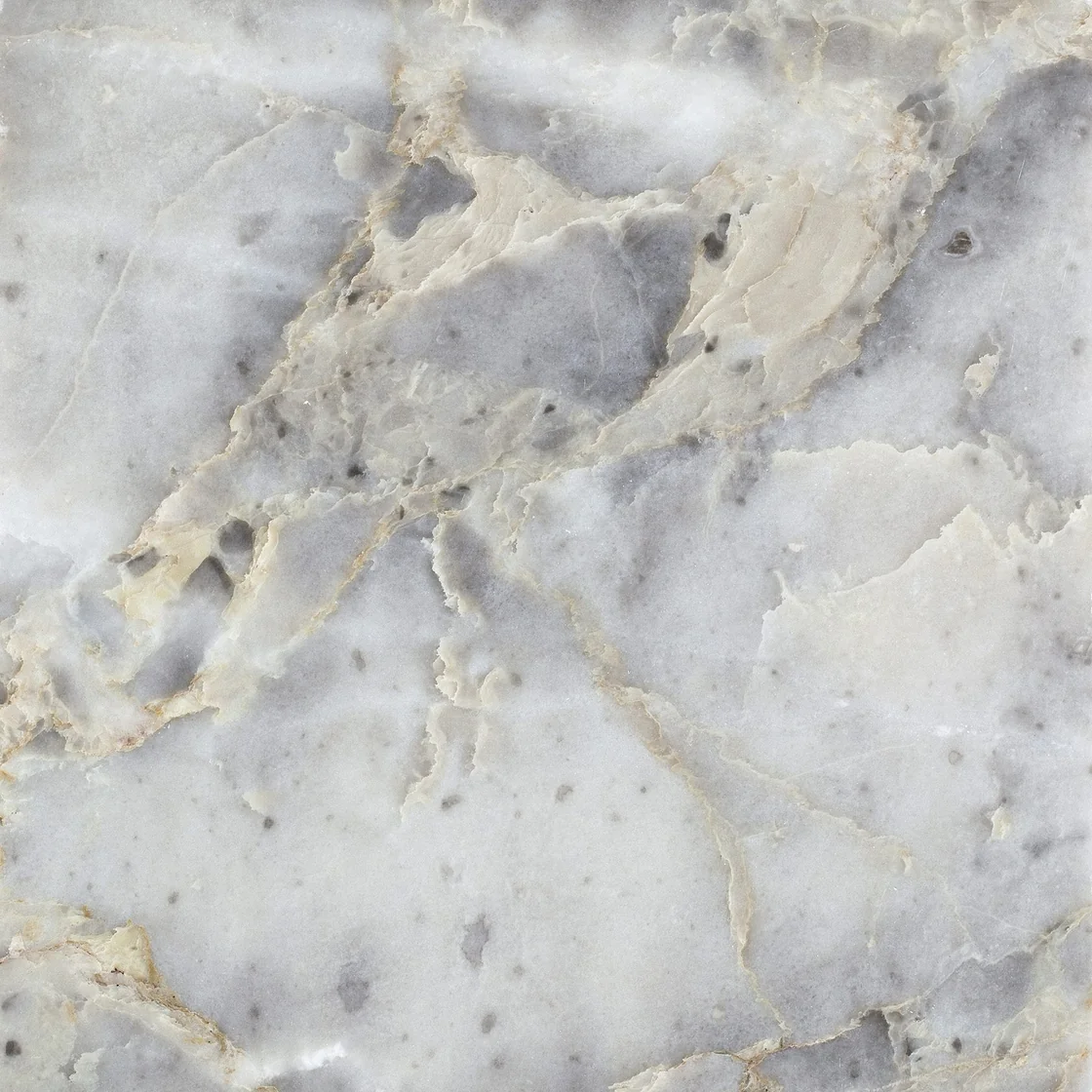 Pansy | marble tile Pansy marble tile — cool grey, cream and golden accents, angular pale fragments within a richly contrasting matrix