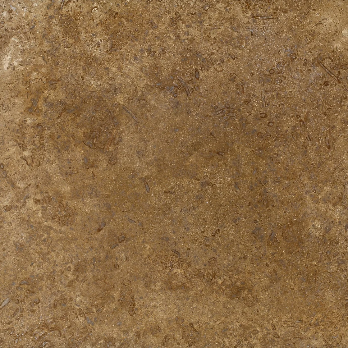 Demmer Noce Travertine | travertine tile Demmer Noce Travertine travertine tile — warm walnut-brown and cream tones, fine natural pores within a softly clouded pattern